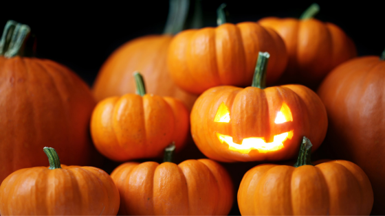 Spooky Fun and Festive Events for Halloween in Michiana | Cressy & Everett Real Estate